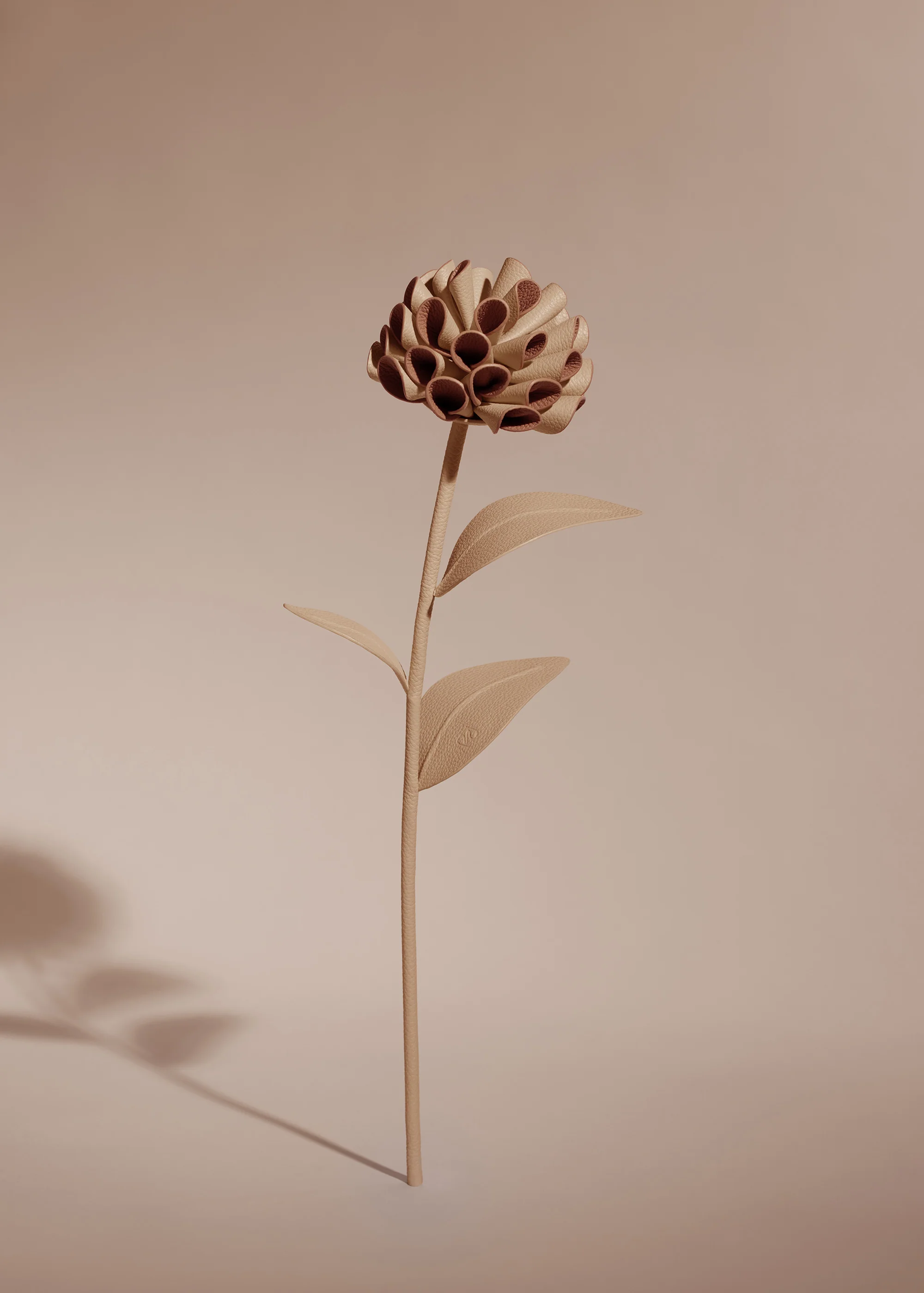 Fleur Dalium - Beige - Image 2