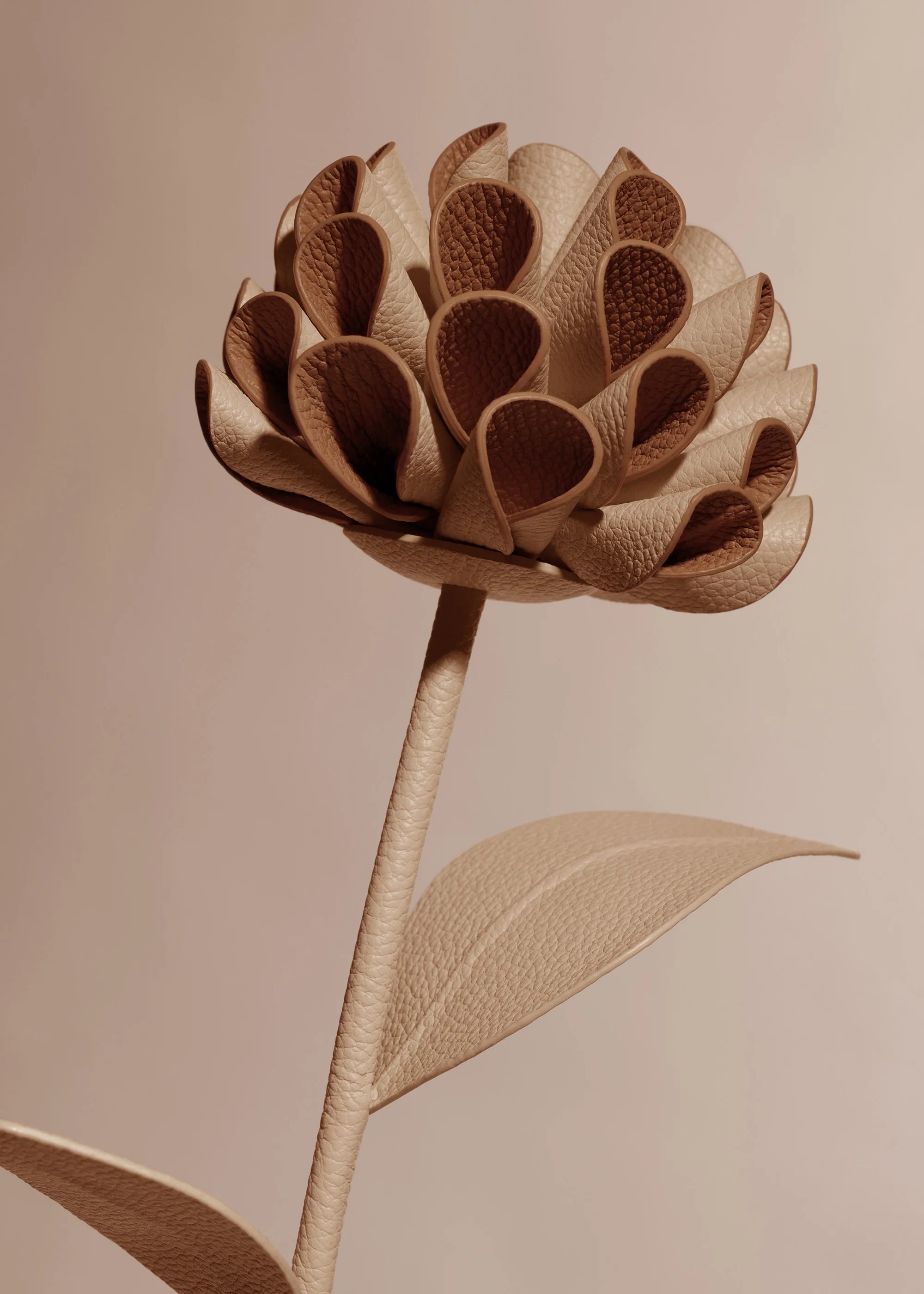Fleur Dalium - Beige - Image 3