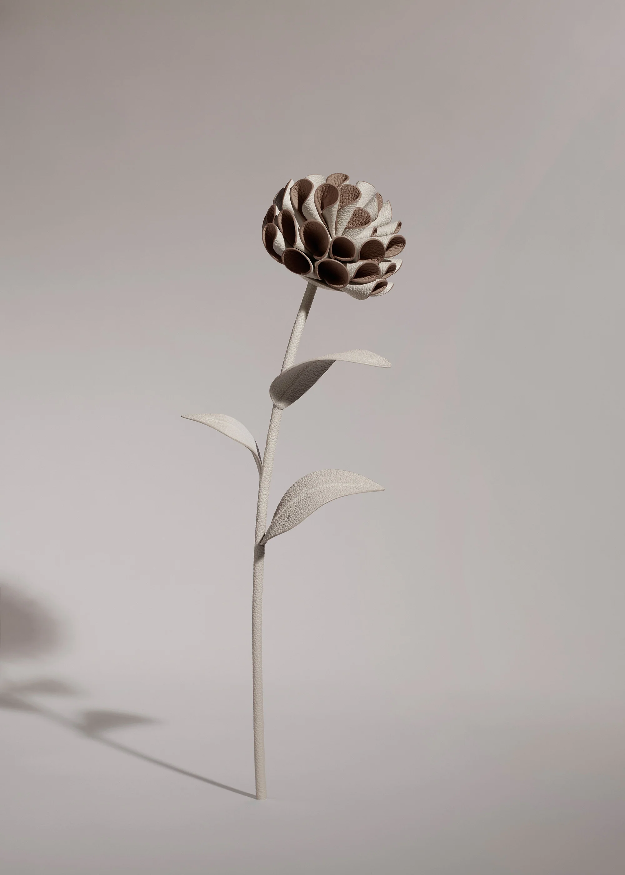 Fleur Dalium - Craie - Image 2