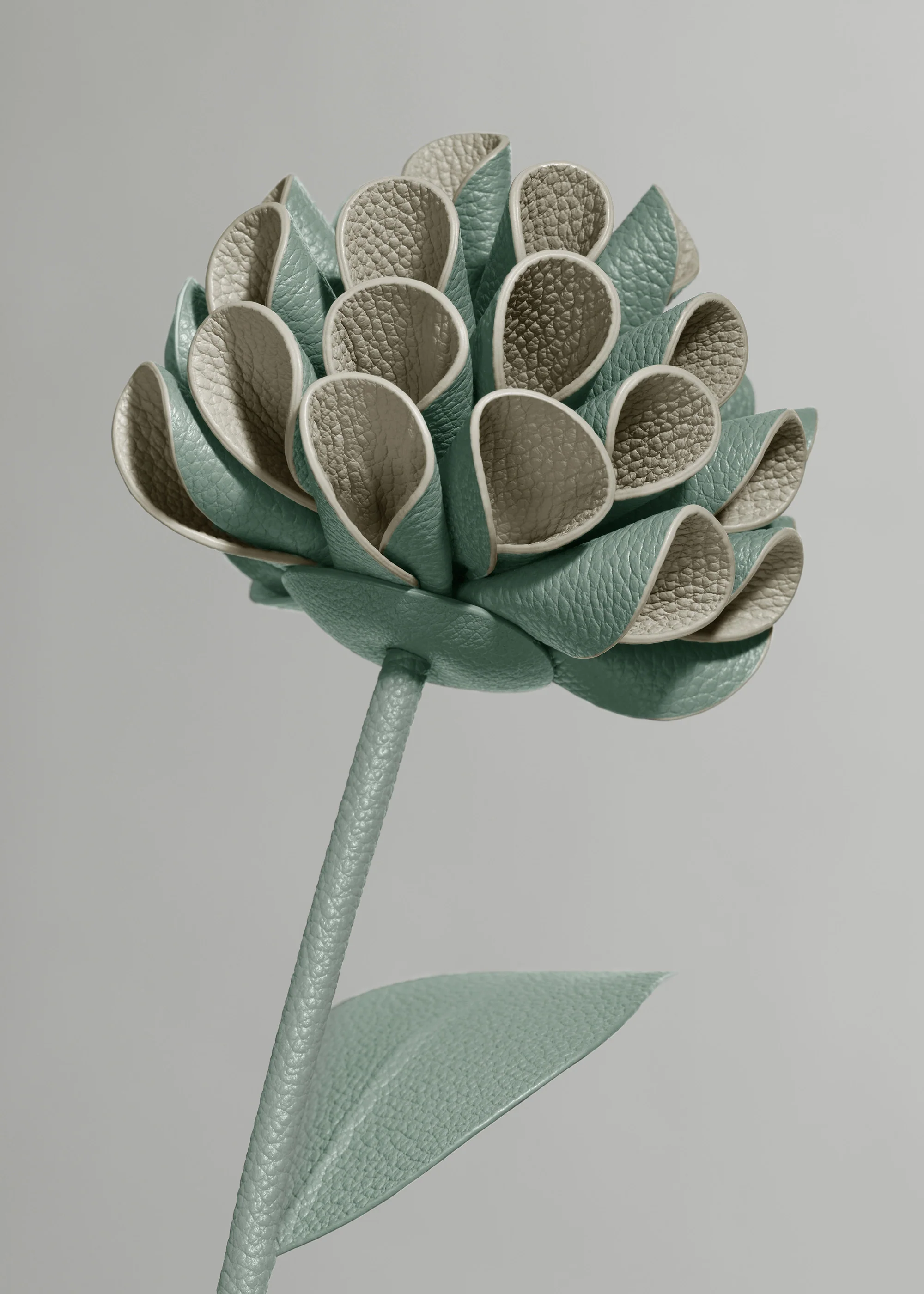 Fleur Dalium - Amande Fraîche - Image 3