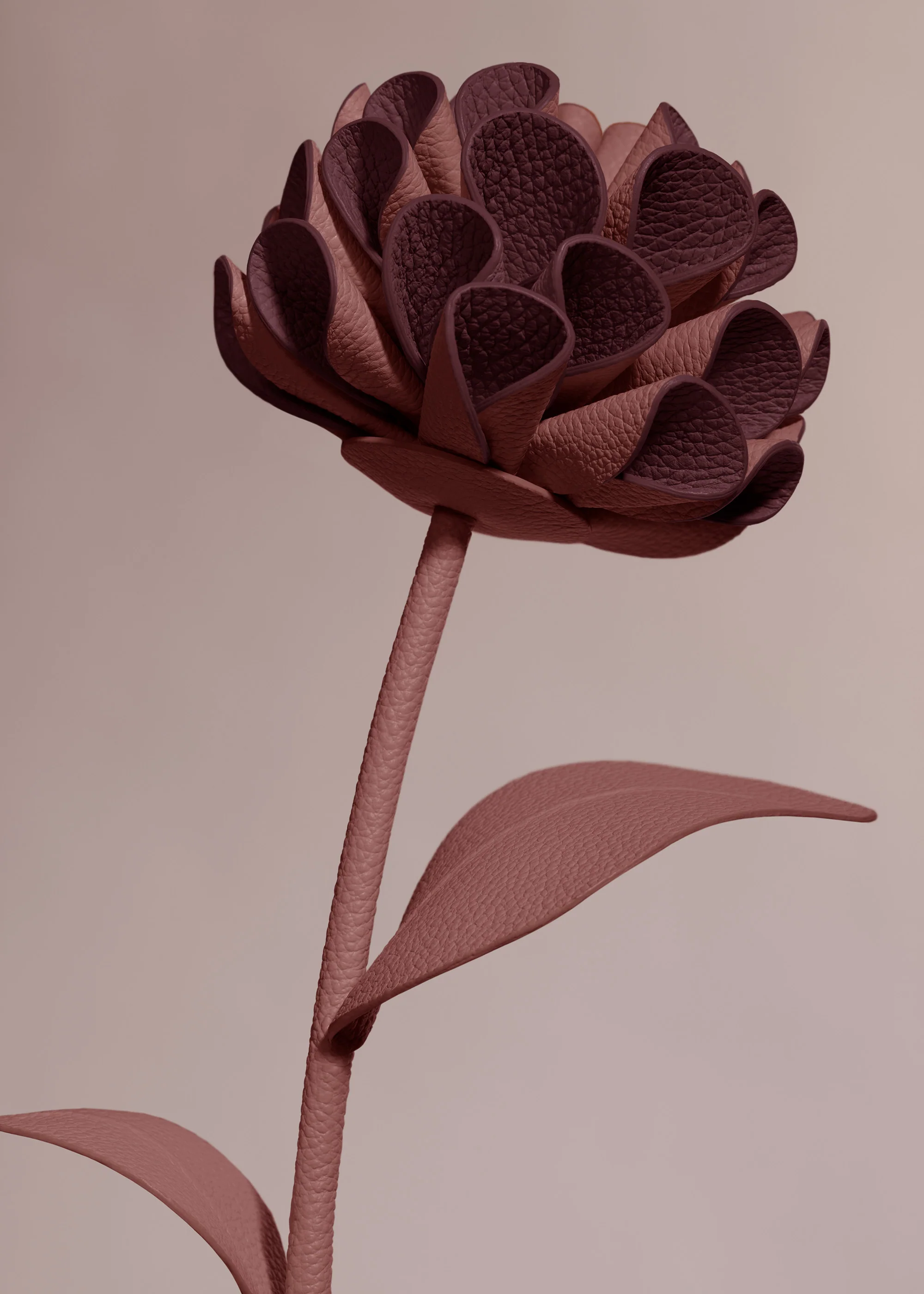Fleur Dalium - Lilas - Image 3