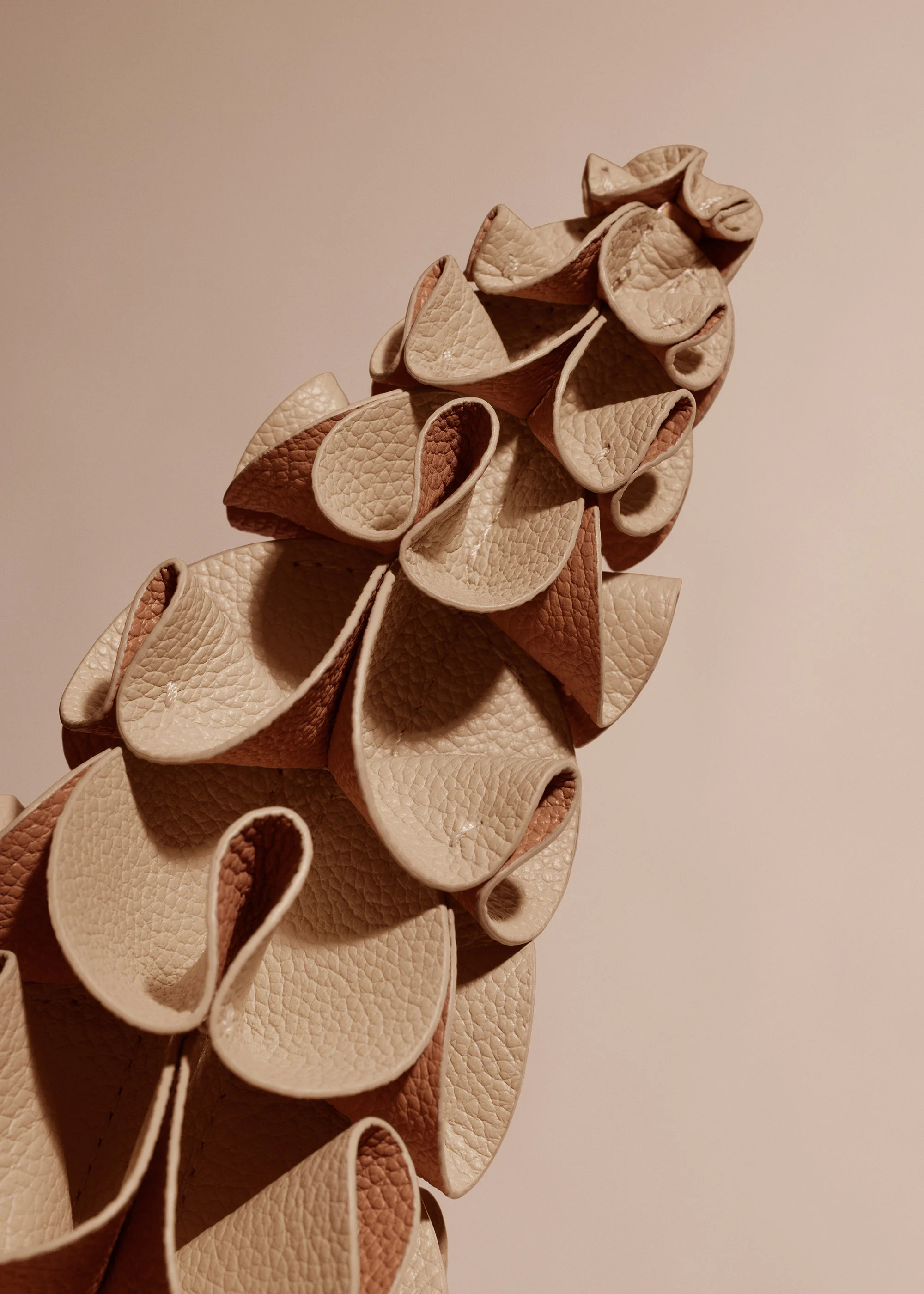 Fleur Orki - Beige - Image 3