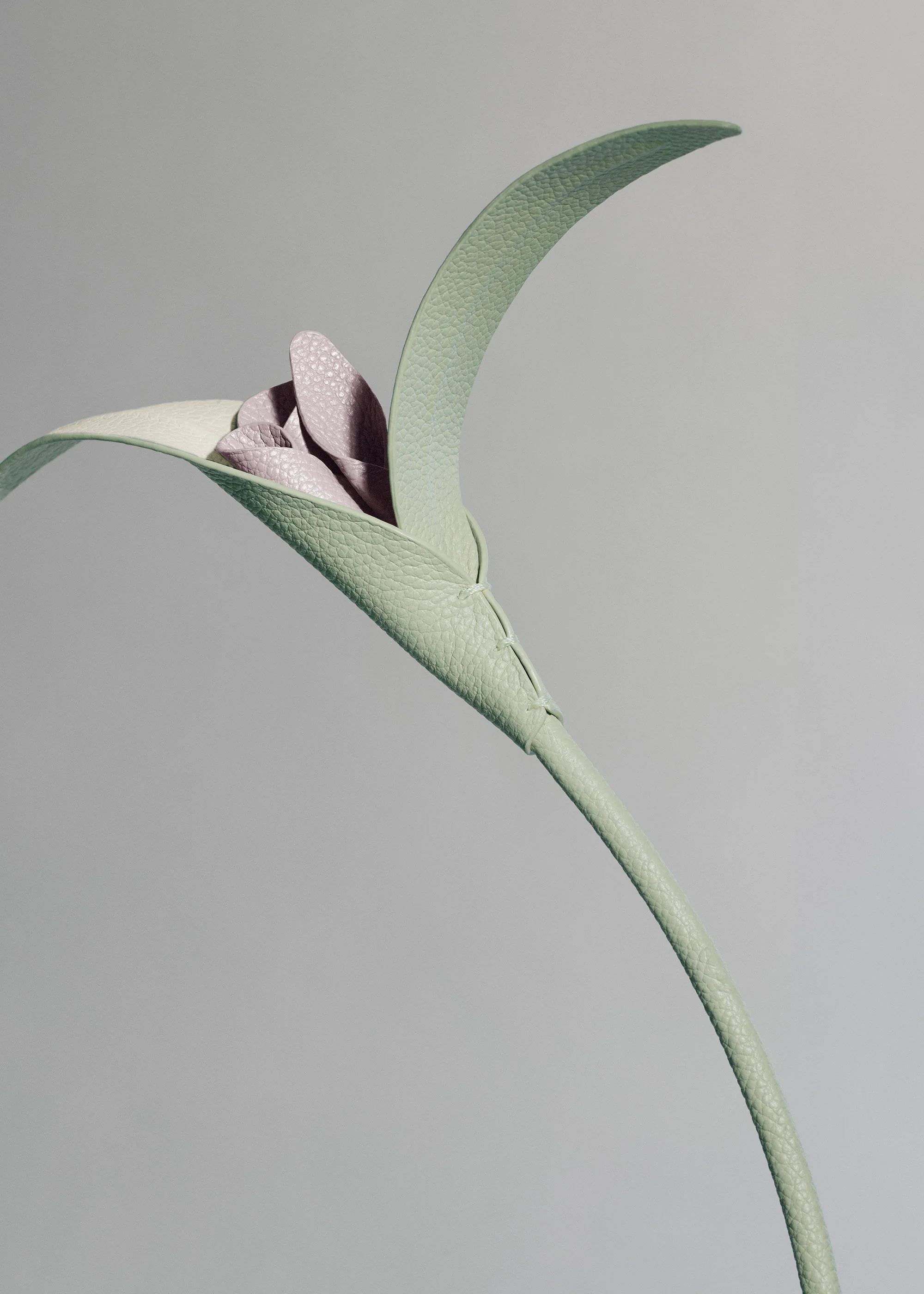 Fleur Touka - Amande Fraîche - Image 3