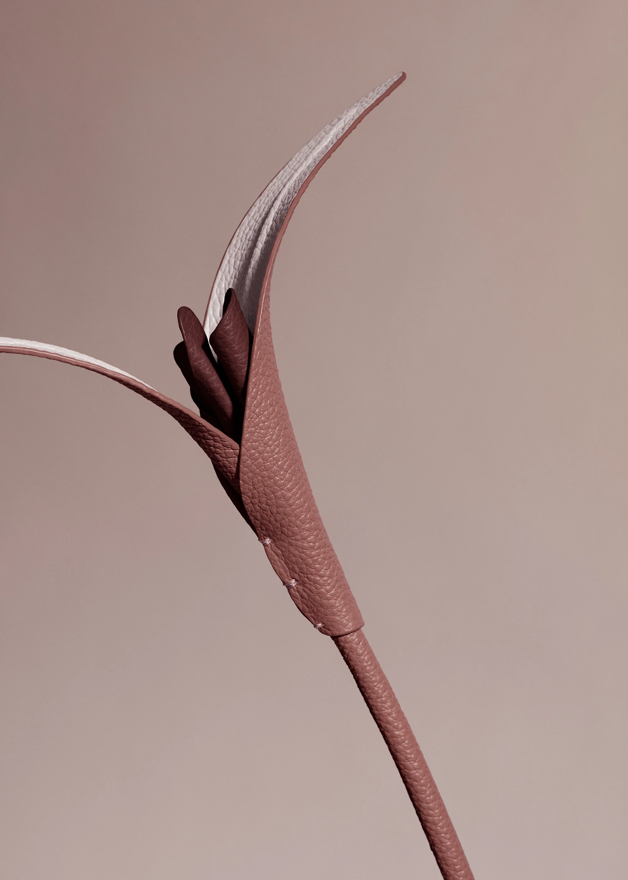 Fleur Touka - Lilas - Image 3