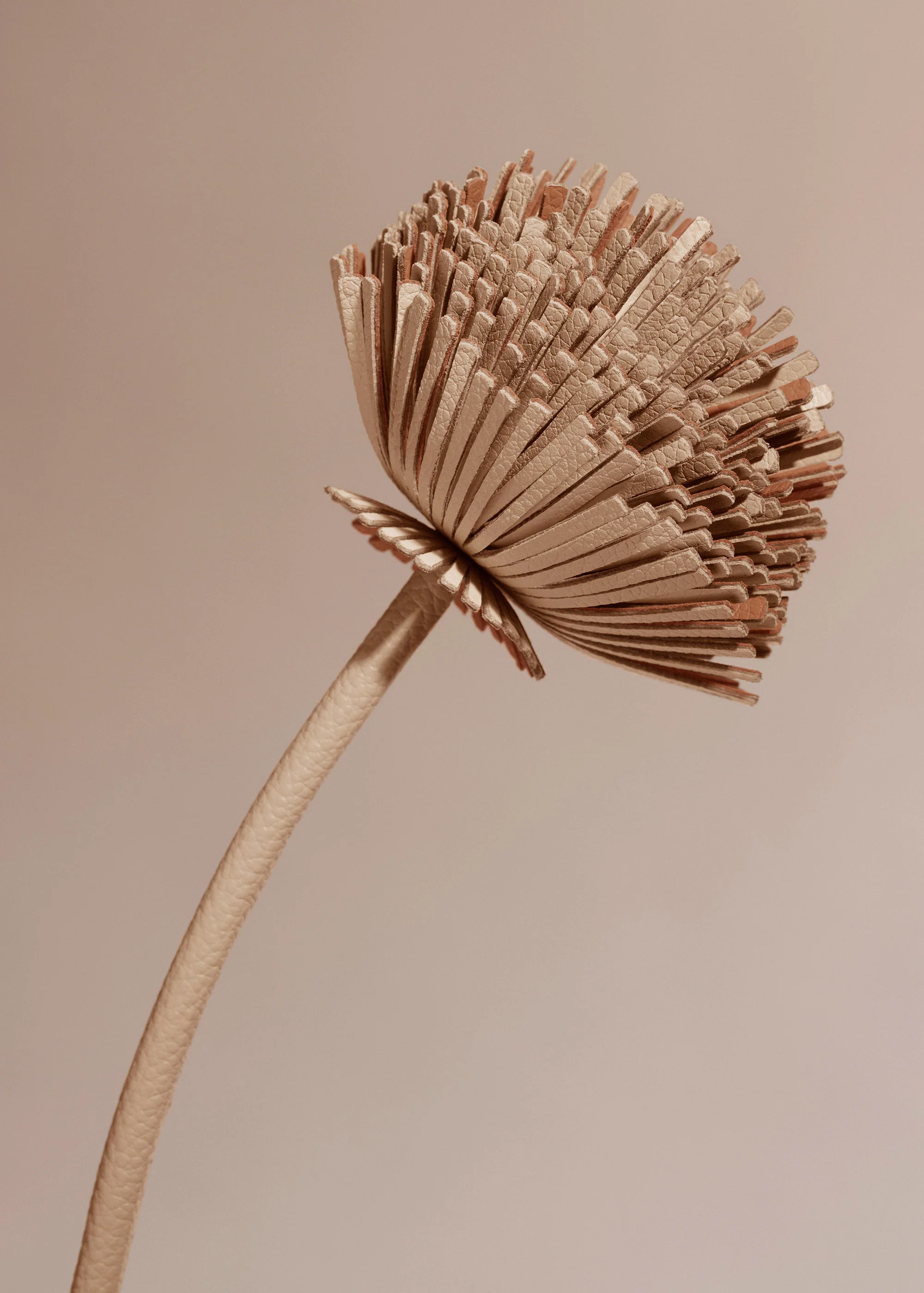 Fleur Tul - Beige - Image 3