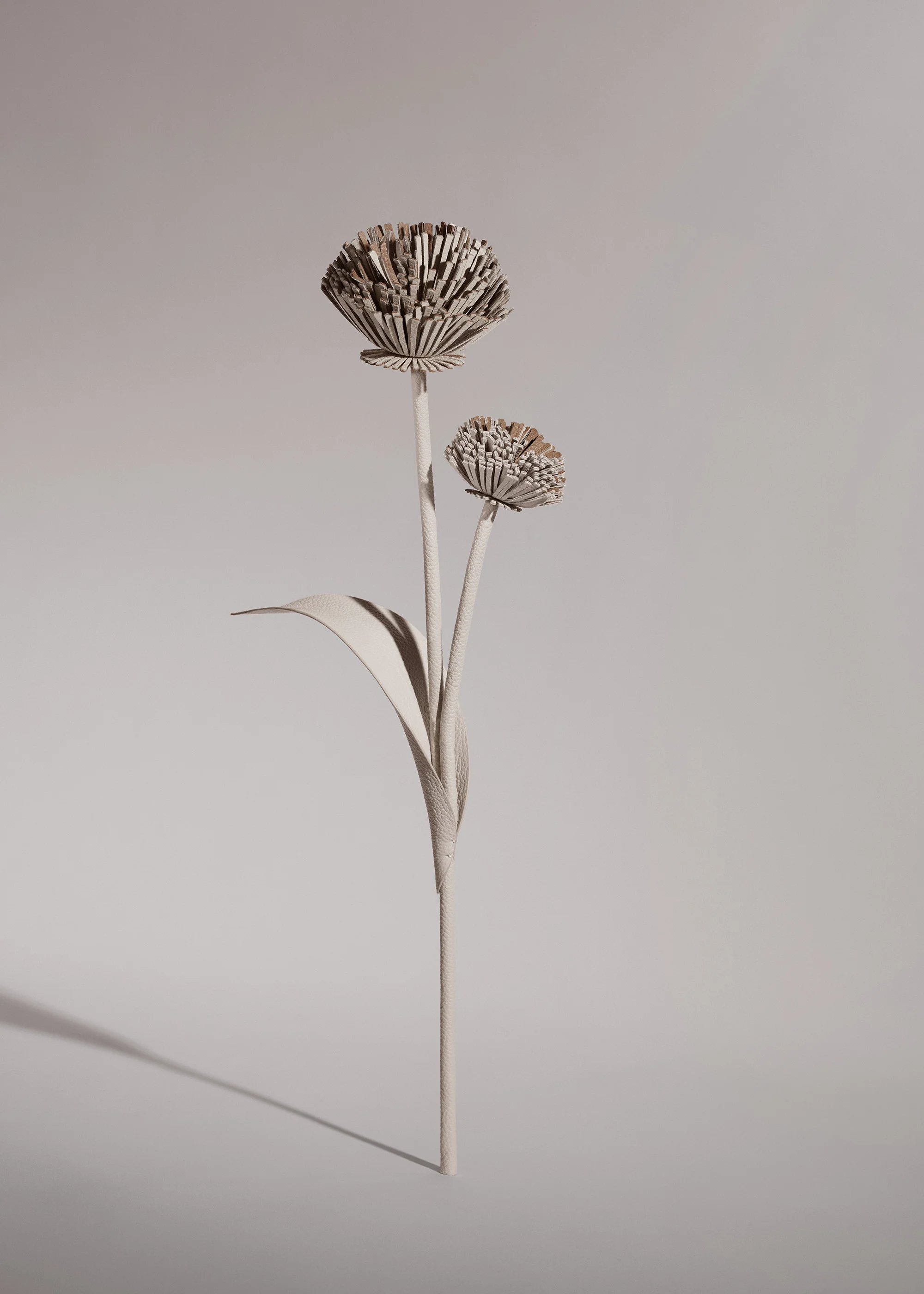 Fleur Tul - Craie - Image 2
