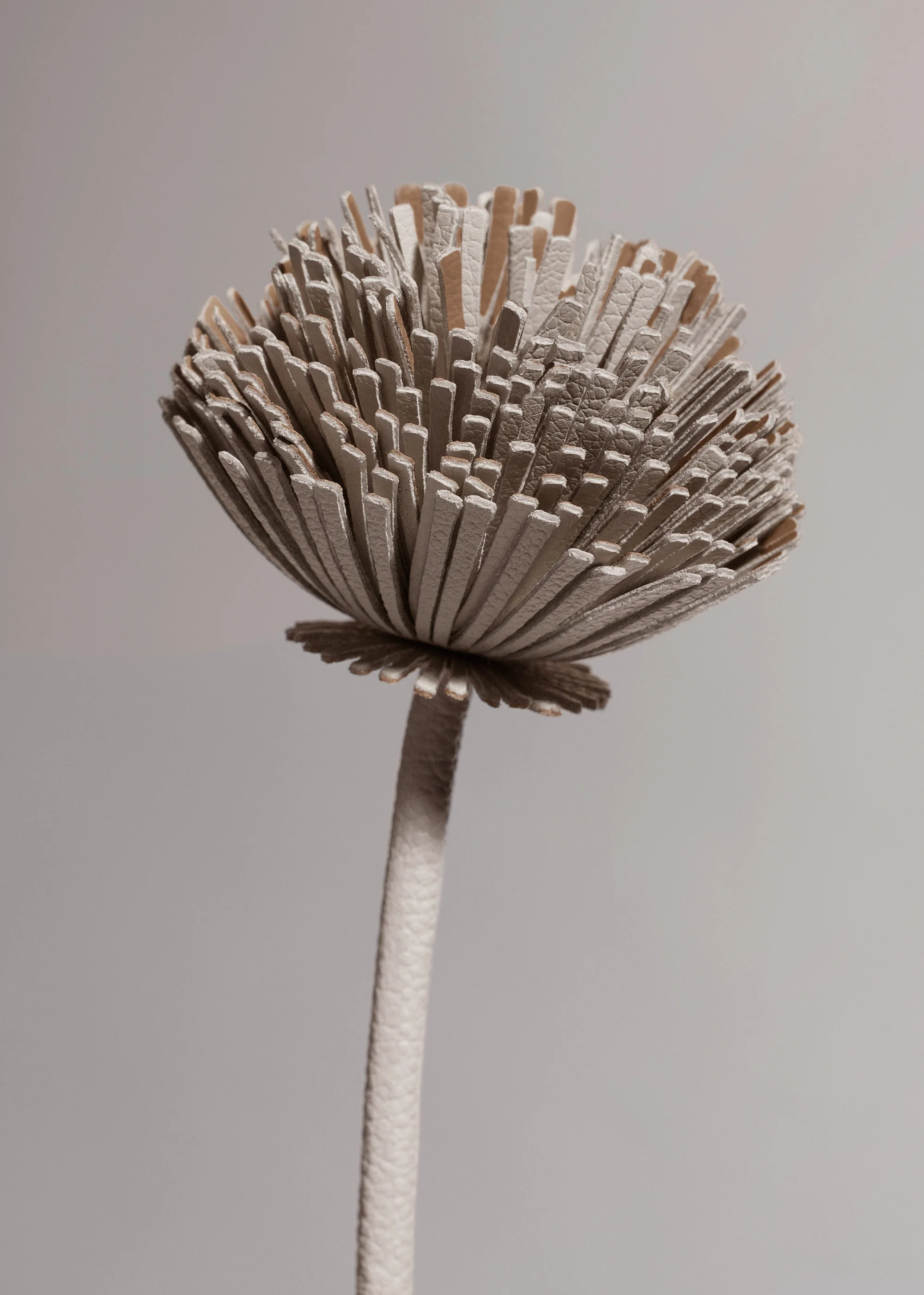 Fleur Tul - Craie - Image 3