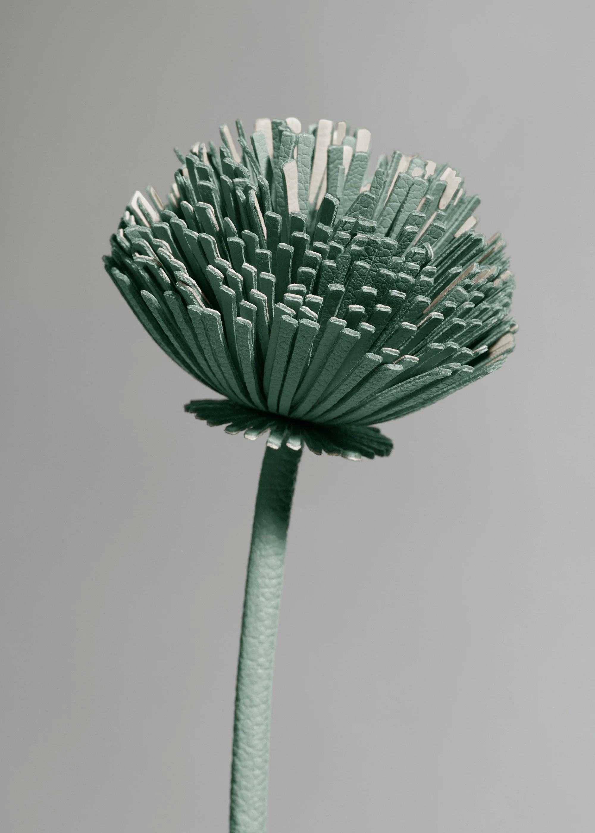 Fleur Tul - Amande Fraîche - Image 3