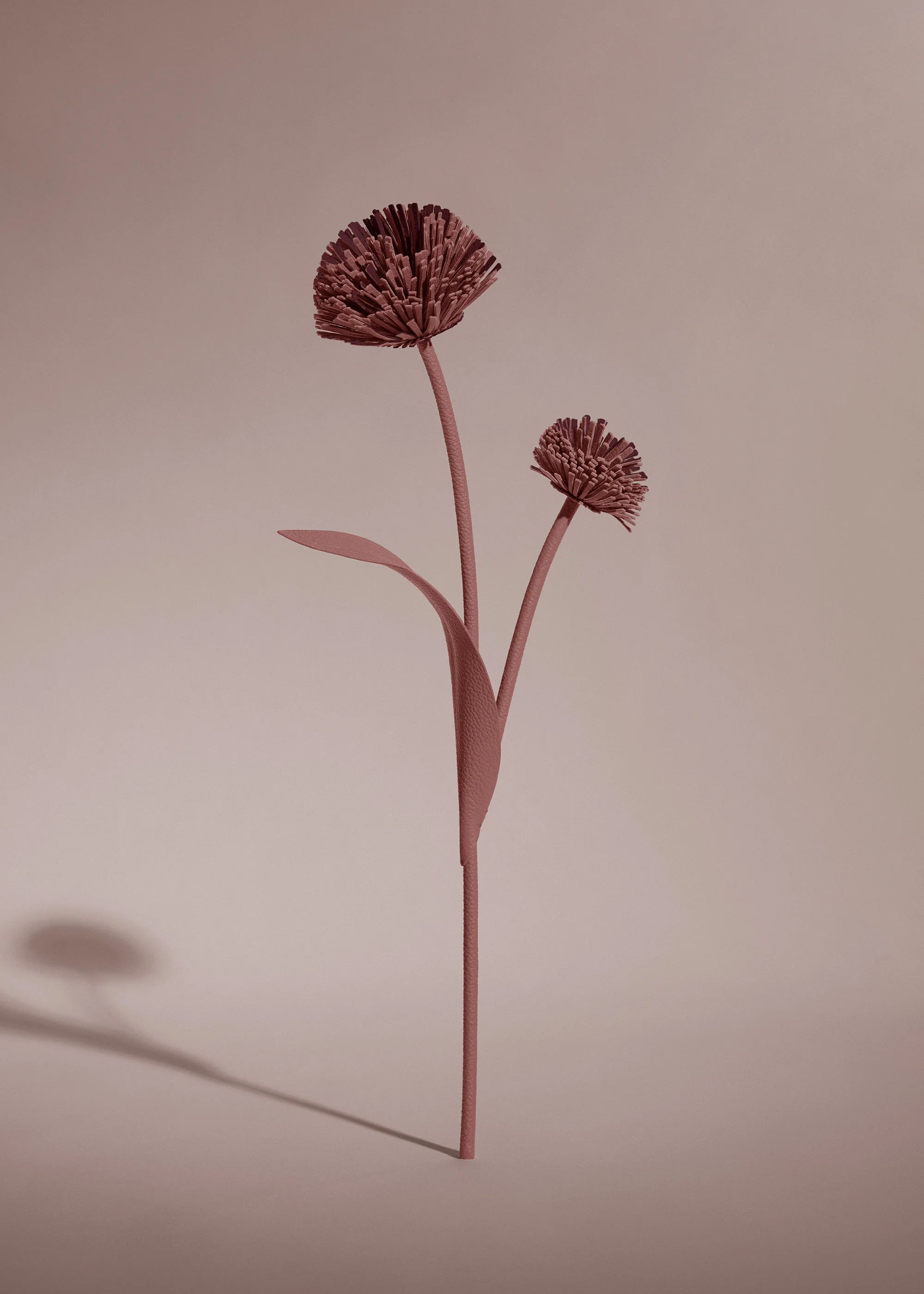 Fleur Tul - Lilas - Image 2