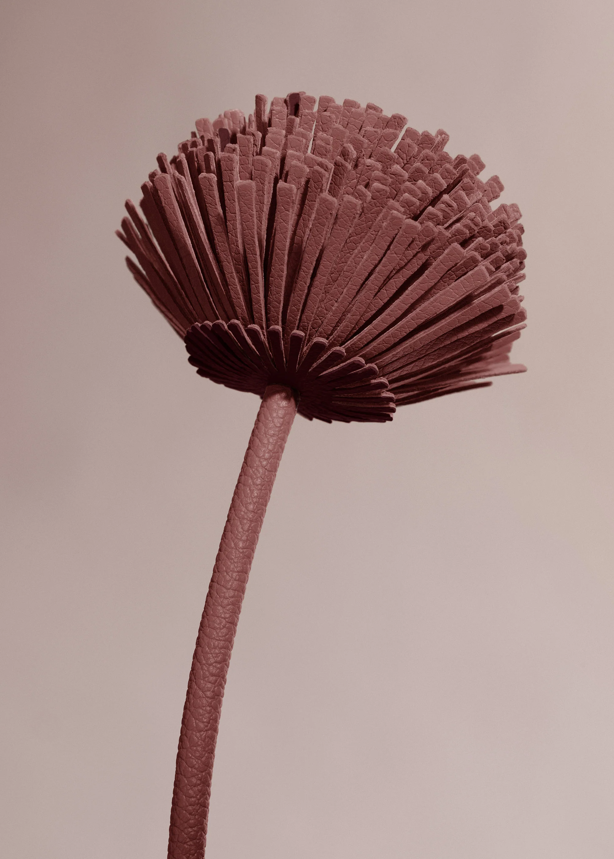 Fleur Tul - Lilas - Image 3